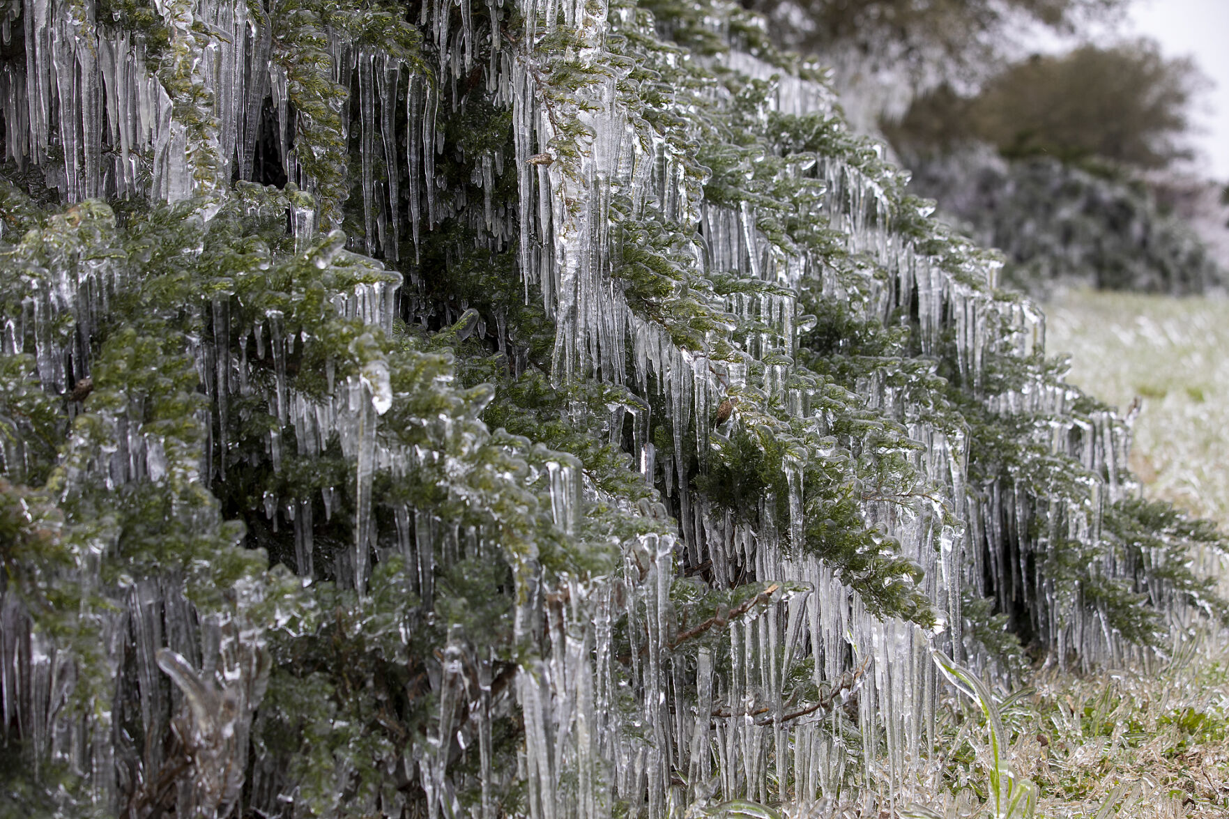 Winter weather